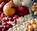 Simply Seed - Sweet Onion Bulb Mix - 1LB - Ready for Spring Planting - Grow Anywhere - American Raised - Non GMO