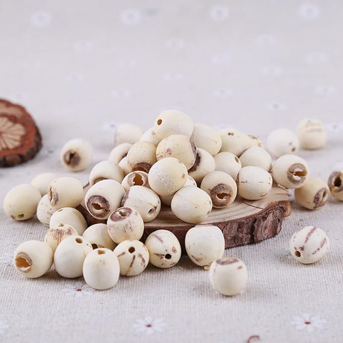 Lotus Seed;Lotus Seed pod;Lotus nut;Lotus Seeds Organic;Lotus Seeds for Cooking;Semen Nelumbinis,Lotus Semen for Health Care Food,Lian Zi for Beauty,Lotus Nut (500 g(1.10 Pound))