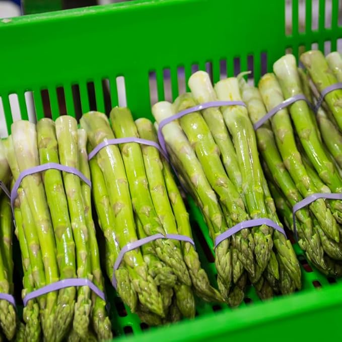 200 Asparagus Seeds for Planting, Vegetable Seeds, Asparagus Vegetable Seeds