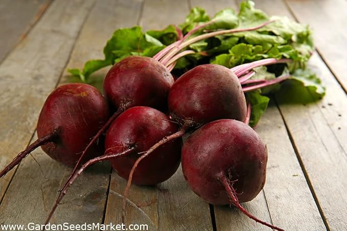CEMEHA SEEDS - Seeds Beet Red Ball Round Beetroot Dark Non GMO Vegetable for Planting