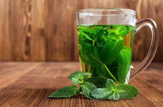 Peppermint Seeds for Planting Outdoors and Indoors 500+ Non-GMO Seeds for Herb Garden