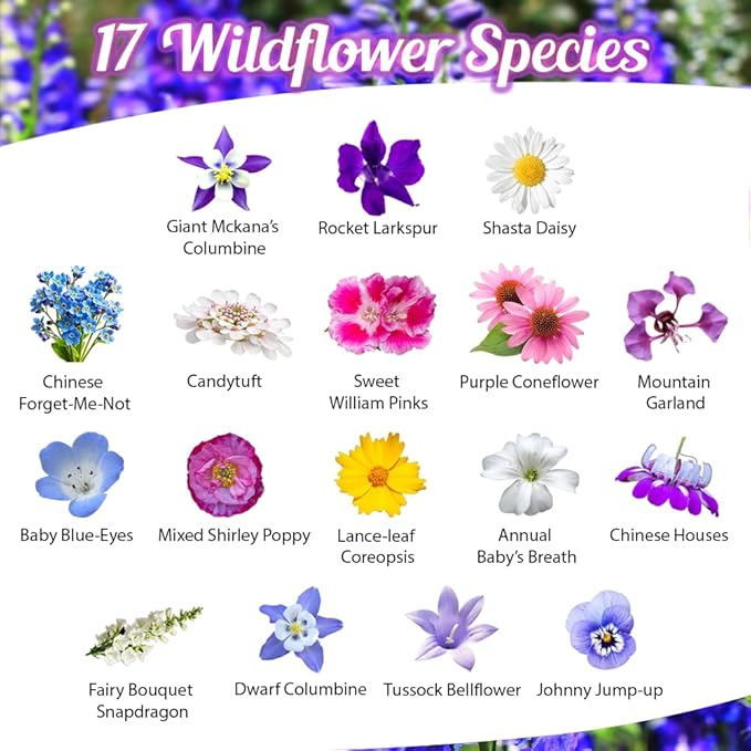 Partial Shade Wildflower Seeds -1 oz, Open-Pollinated Flower Seed Mix Packet, No Fillers, Annual, Perennial Wildflower Seeds Year Round Planting - 1 oz