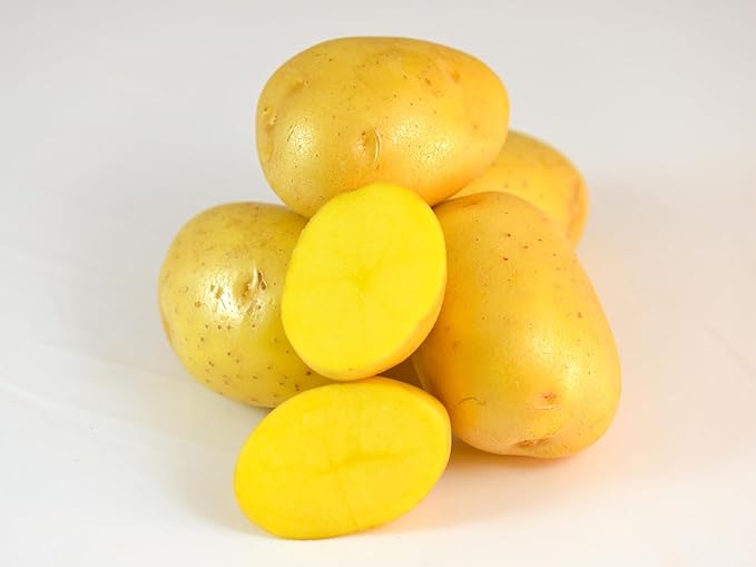 German Style Certified Potato Seed, Whole Potatoes, American Raised, Non GMO