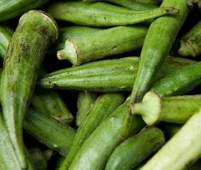 Emerald Okra Seeds, 50 Count COOL BEANS N SPROUTS Brand. Home Gardening.