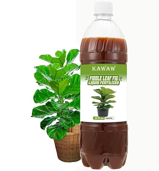 Premium 35oz Fiddle Leaf Fig Plant Food Liquid Fertilizer - Organic Microbial Probiotic Nutrient Solution for Indoor & Outdoor Plants & Root Growth