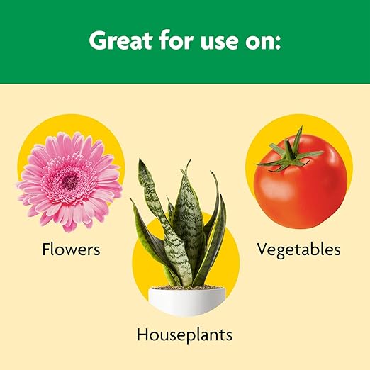 Miracle-Gro Shake 'N Feed All Purpose Plant Food - Outdoor and Indoor Plant Food for In-Ground and Containers, Feeds for up to 3 Months, 8 lbs.