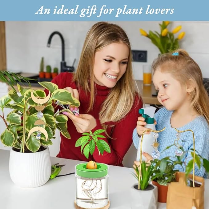 3Pcs Small Metal Trellis Gold Plant Support Stake Brass Plant Stake Cute Plant Decoration with Sun Moon Pendant for Garden Potted Plant Hoya Pothos Flower Monstera