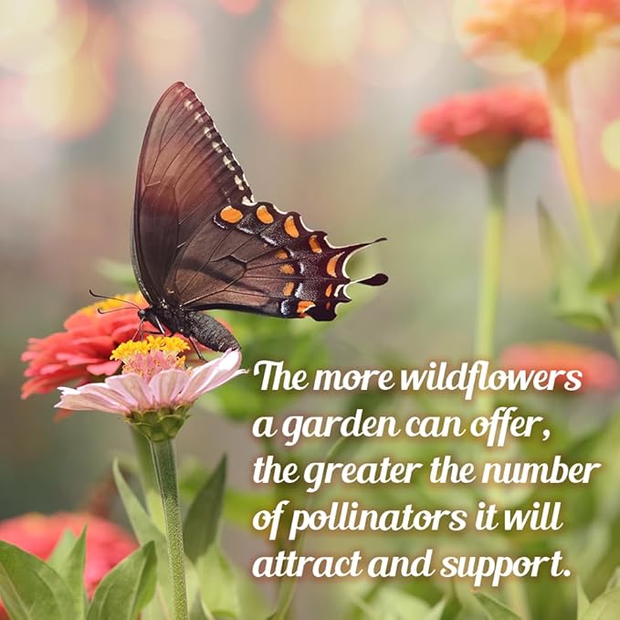 Monarch Butterfly Rescue Wildflower Seeds 4oz. Bulk Open-Pollinated Wildflower Seed Packet, No Fillers, Annual, Perennial Milkweed Seeds for Monarch Butterfly 4 oz