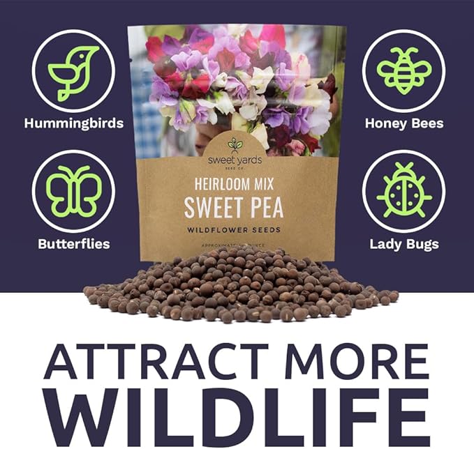 Sweet Pea Seeds Heirloom Mix - Bulk 1 Ounce Packet - Over 350 Seeds - Large Fragrant Lavender, Purple, Red, Pink and White Blooms