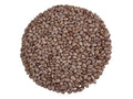 Premium Pinto Beans – Whole Dried – Product of Canada | 2.5lb.
