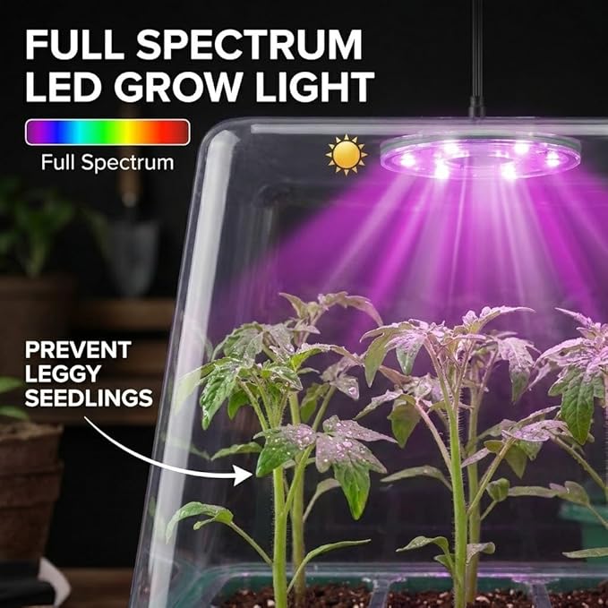 Seed Starter Tray kit with Grow Lights, 48 Cells Total (4 Trays of 12), Full Spectrum Mini Greenhouse for Indoor Plant Germination, Green