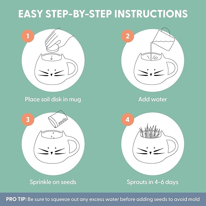 The Cat Ladies Organic Cat Grass for Indoor Cats - Growing Kit with Organic Seed Mix, Soil and Black Cat Planter. Natural Hairball Control and Digestion Remedy, Cat Gifts