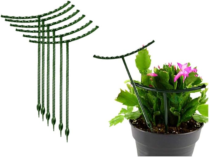 Belit 8 Pack Plant Supports for Small Plants, Garden Flowers Green Plant Support Ring, Planter Support Ring for Schlumbergera, Clivia, Succulents, 5.5" Wide x 5.9" High