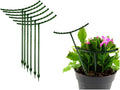 Belit 8 Pack Plant Supports for Small Plants, Garden Flowers Green Plant Support Ring, Planter Support Ring for Schlumbergera, Clivia, Succulents, 5.5" Wide x 5.9" High