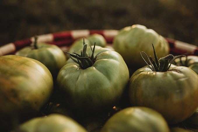 Aunt Ruby's German Green Tomato - 50 Seeds - Unique Heirloom Variety, Sweet & Subtly Spicy Flavor, Non-GMO Heirloom Tomato Seeds for Planting in The Home Garden, Thresh Seed Company