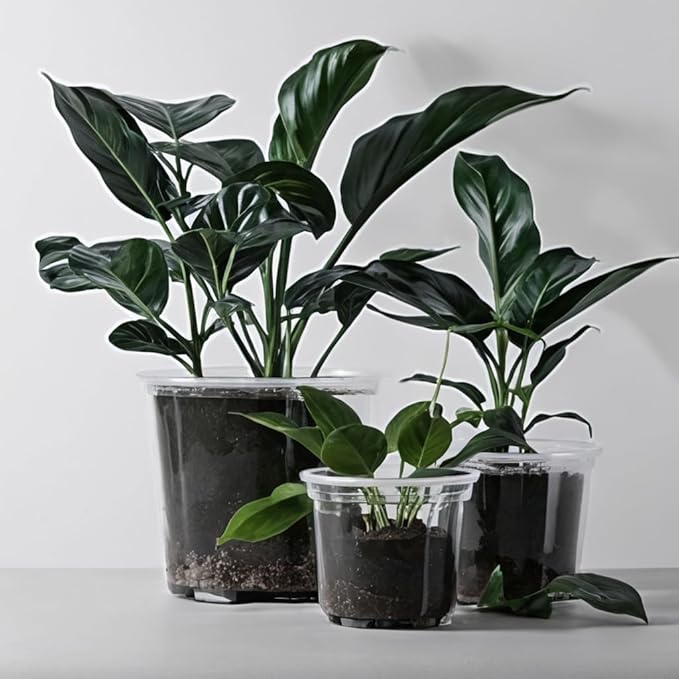 RAOOKIF 6/5/3.5 Inch Clear Nursery Pots with Drainage, 24 Pack Clear Nursery Pots for Plants, Flexible Plastic Garden Flower Pot