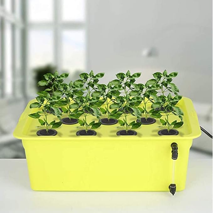 200 Pack Cloning Collars Inserts Premium Grade Foam, Better Than Neoprene for Hydroponics Plant Germination in DIY Cloner & Clone Machines, Fits 2 Inch Net Pots
