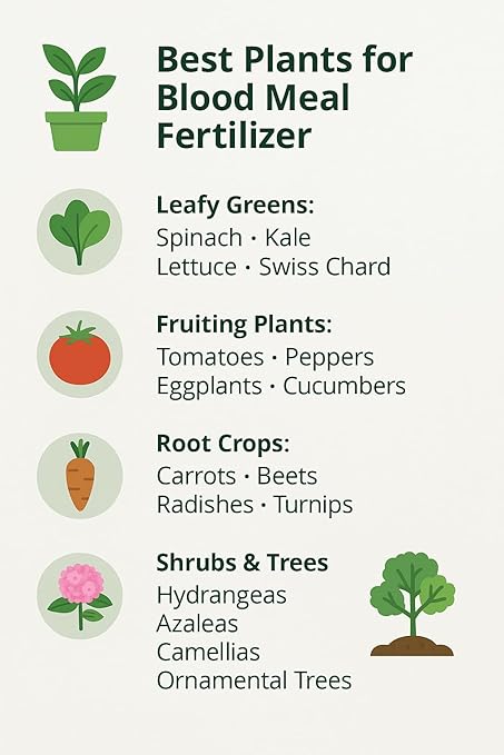 𝐁𝐄𝐒𝐓𝐒𝐄𝐋𝐋𝐄𝐑 Organic Blood Meal Fertilizer by Gardenera - 12-0-0 NPK - All-Natural Plant Food Source of Nitrogen for Organic Gardening, Flowers, Vegetables, Trees & Shrubs [8 OZ]