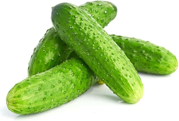 Seeds Vegetable Cucumber Nezhyn Open-Pollinated Heirloom Best for Pickling - 20 Seeds