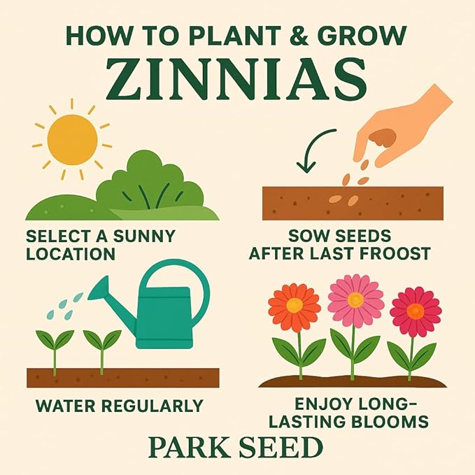 Park Seed Zinnia Seeds, Planting Flowers, Easy to Grow, Non-GMO, Perfect for Spring Garden, Profusion Cherry, Pack of 25