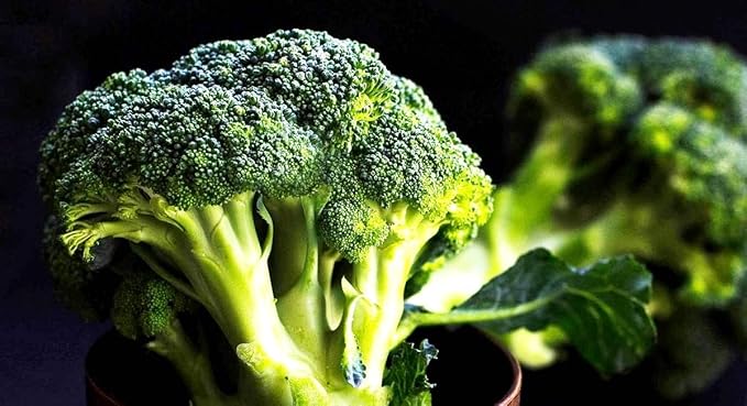 Seeds Broccoli 200+ Non-GMO Seeds for Planting Annual Plant in Spring or Fall
