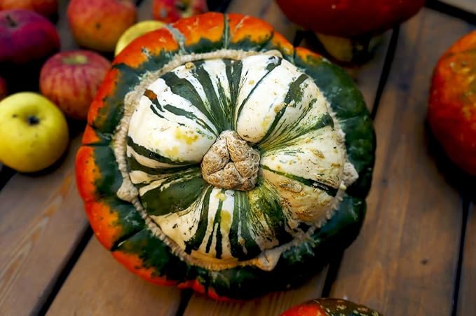 Seeds Ornamental Pumpkin Turk's Turban 10+ Seeds for Growing Decorative and Edible Non-GMO Annual Plant