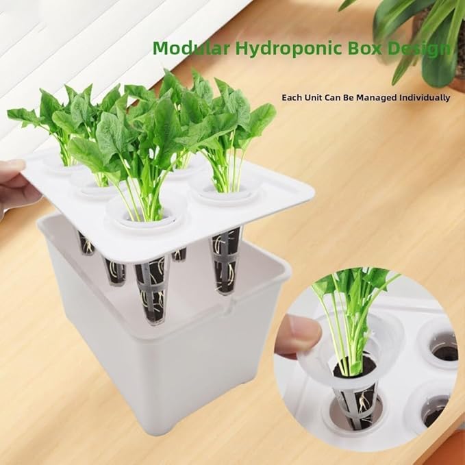 Hydroponics Growing Box 6-Holes Cultivation System Designed for Indoor Use with Multi-Set Package Supporting Efficient Root Development and Crop Growth