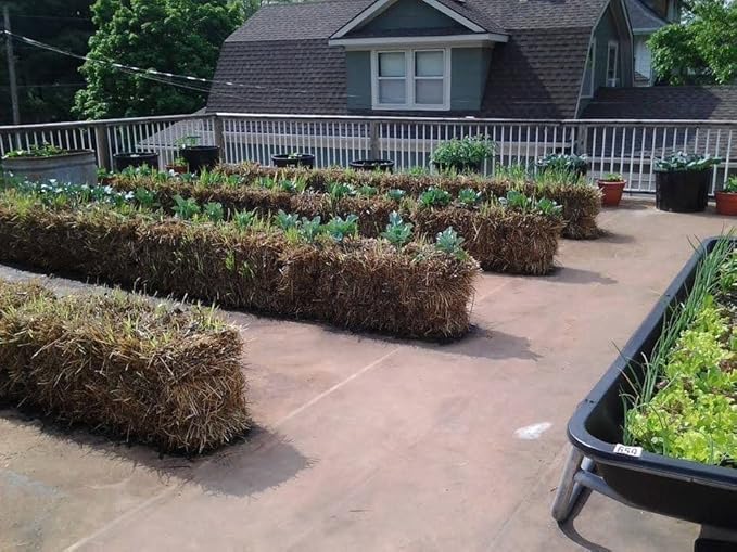 BaleBuster4 Four Bale Conditioning Formula for Preparation of a Straw Bale Garden for Planting a Vegetable Garden