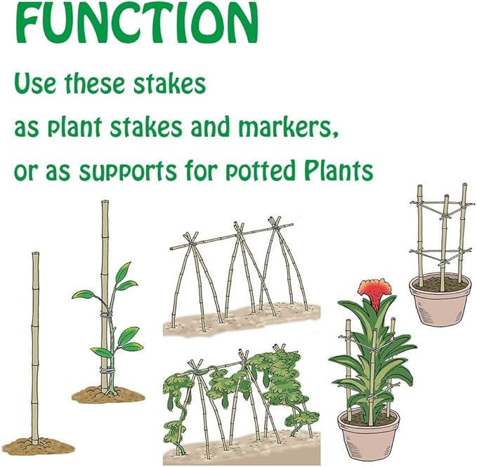 Mininfa Natural Bamboo Stakes 57 Inch (Approx 5 FEET), Eco-Friendly Garden Stakes, Plant Stakes Supports Climbing for Tomatoes, Trees, Beans, 20 Pack