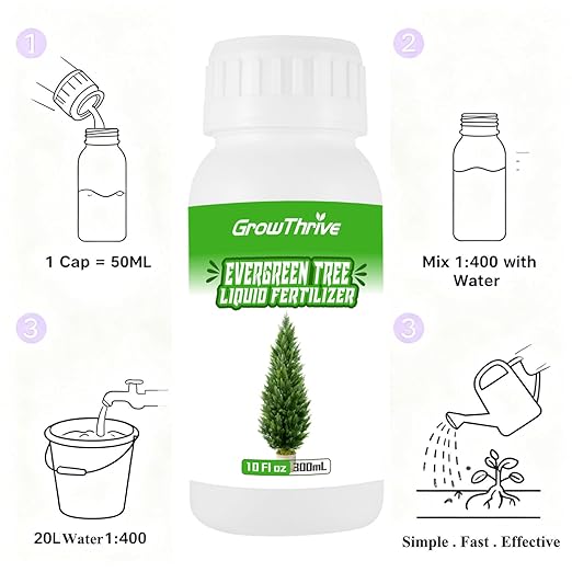 Evergreen Tree Liquid Fertilizer – Natural Probiotic Plant Food for Healthy Evergreen Growth – 10 oz Concentrate – Promotes Greener Leaves, Strong Roots & Soil Health