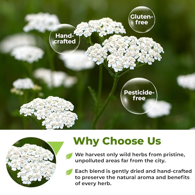 4 oz. Yarrow Herb Dried Yarrow Leaf & Flower Herbal Tea (Achillea Millefolium Tea) - 113g Herb Tea Milenrama