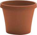 Bloem Terra Pot Planter: 12" - Terra Cotta - Durable Resin Pot, for Indoor and Outdoor Use, Gardening, 3.5 Gallon Capacity, Saucer Sold Separately