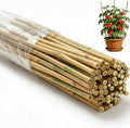 65 Pcs Bamboo Plant Stakes 5 Feet, Oltara Natural Bamboo Sticks Garden Stakes for Climbing Plants Support, Potted Plants, Vegetables, Tomatoes, Beans, Flowers, Trees