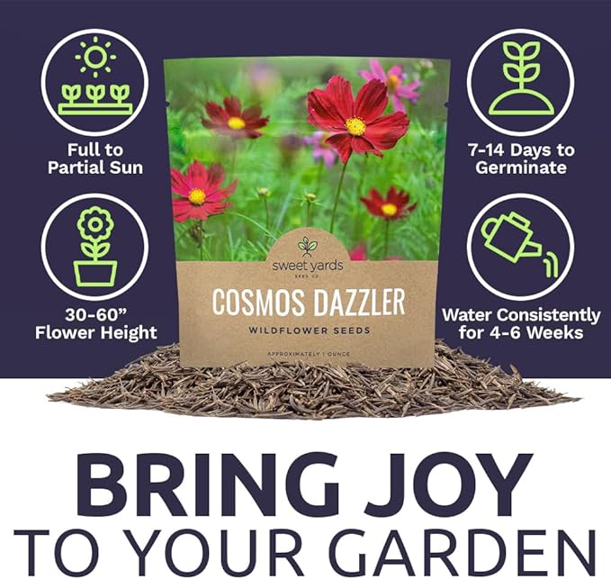 Dazzler Cosmos Wildflower Seeds - Extra Large 1 Ounce Packet - Over 5,000 Fresh Open Pollinated Non-GMO Flower Seeds - Stunning Bright Petals - Drought Tollerant
