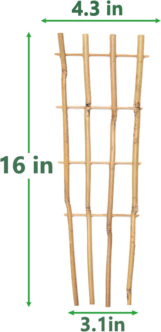 10 Pack 16" Bamboo Trellis for Climbing Plants, Fan-Shaped Natural Garden Ladder Trellis for Climbing Plants Potted Plants House Plants