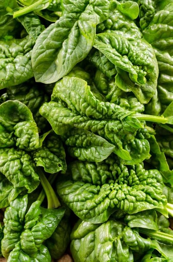 Spinach Bloomsdale Longstanding Pkt - Approx. 300 seeds