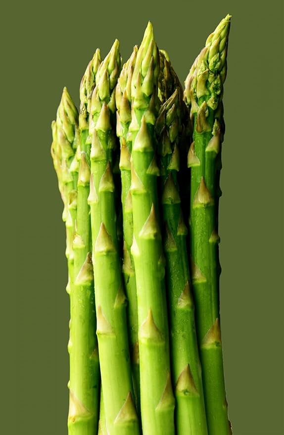 CEMEHA SEEDS - Seeds Green Asparagus Sparrow Grass Non GMO Vegetable for Planting