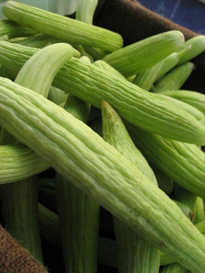 Seeds Vegetable Cucumber Armenian Heirloom for Pickling - 10 Seeds