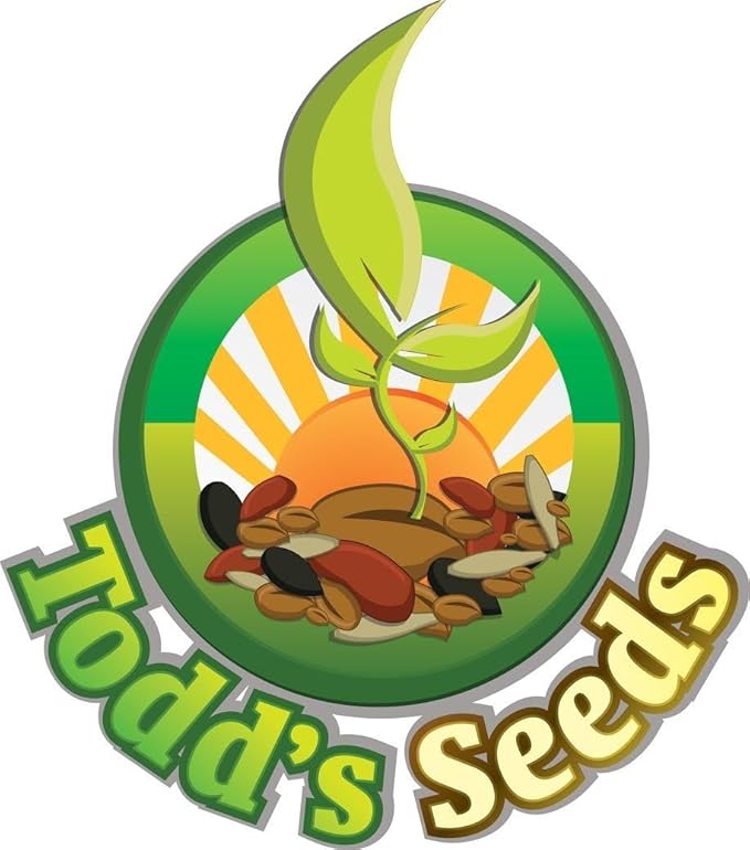 Todd's Seeds - Bundled Wheatgrass Seeds, 1Lb & Chemical Free Alfalfa Sprouting Seeds, 1Lb, Total of 2 Lbs