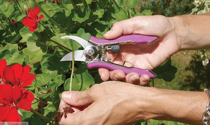 Dramm ColorPoint Stainless Steel Compact Garden Pruning Shears, Hand Pruner, Garden Clippers, with Heavy Duty Blade and Easy grip Handle, Berry