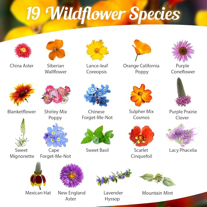 Honey Source Wildflower Seeds Mix for Honey Bees - 4oz, Premium Annual and Perennial Flower Seed Mix – Bulk Planting for Pollinator