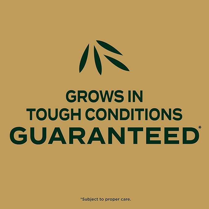 Scotts EZ Seed Patch and Repair Zoysia Grass, Combination Mulch, Grass Seed and Lawn Fertilizer, 3.75 lbs.