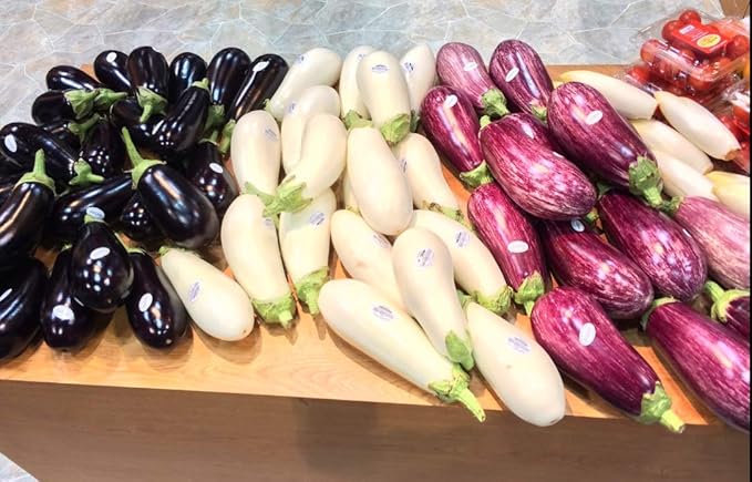 Seeds Eggplant Aubergine Long Mix Heirloom Vegetable for Planting Non GMO