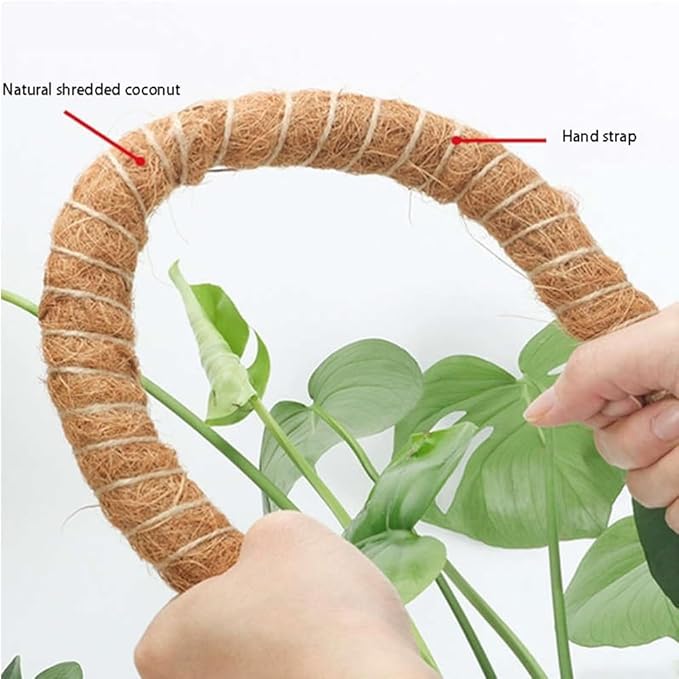 2 Pack 48" Bendable Moss Pole for Monstera Plant Support, Coco Coir Stakes for Climbing Plants, Indoor Trellis for Pothos, Philodendron & Houseplants – Adjustable Plant Support Kit