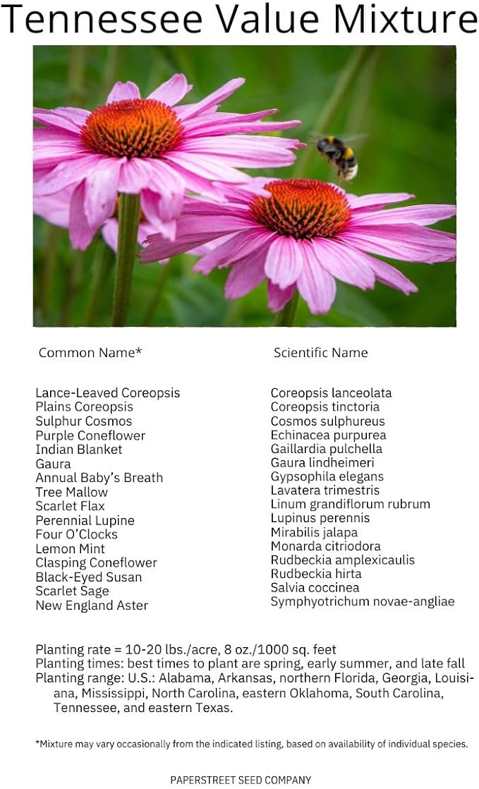 Tennessee Bulk Perennial Wildflower Seed Mix 1lb Covers 2,000sq-ft - Attract Pollinators, Multi-Color Blooms - Southeast US Species Plant in Spring/Fall, Earth-Friendly Packaging (1 Pound)