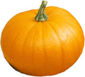 Burpee Small Sugar Pumpkin Seeds 50 seeds