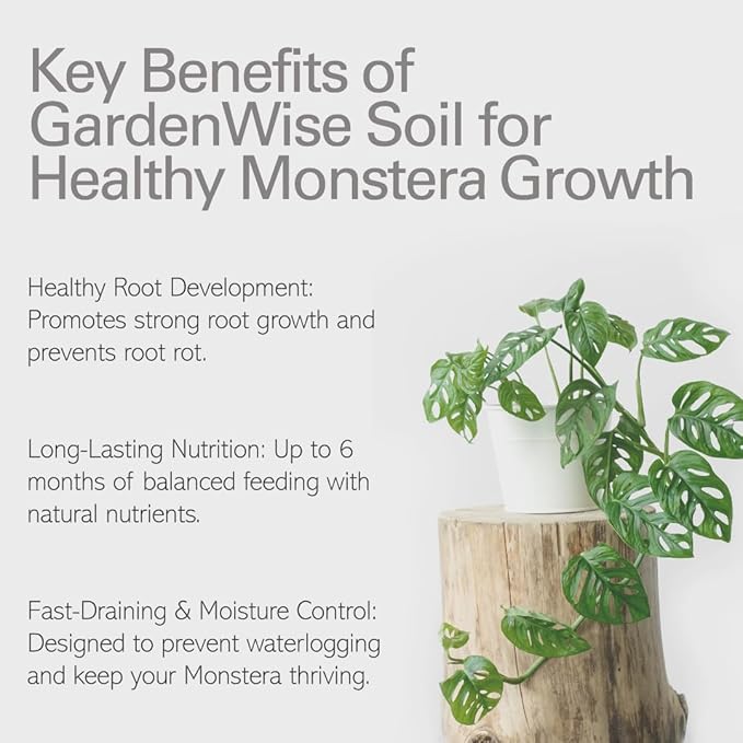 GARDENWISE Monstera Potting Soil Mix – Organic, Fast-Draining, Chunky Soil with Coconut Coir & New Zealand Bark for Indoor Plants – Premium Fertilizer for Monstera Deliciosa, Albo & More (3 quarts)