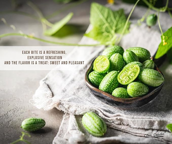 Cucamelon Seeds - Mexican Sour Gherkin - 100 Seeds - Heirloom, Non-GMO and Untreated, Excellent for Any Home Garden, Low Maintenance, Delicious Flavor