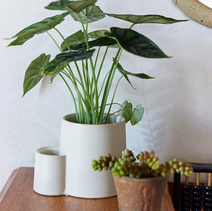 Modern Sprout Ember Earth Candle Planter - 2 in 1 Scented Soy Candle w/Bottom Feeding System - 8 Oz with 50 hr Burn time in Glaze Ceramic Vessel Ideal for Any Indoor Plants - Pollination
