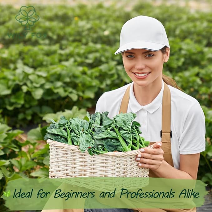 Premium GAI LAN (Broccoli) Seeds – 300+ Non-GMO Heirloom Seeds, Fast-Growing, High-Yield Variety with Crisp Stems & Tender Leaves